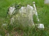 image of grave number 119681